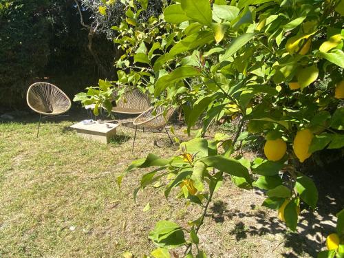 Maison de vacances \ 43 Chemin du Breuil Boulbon