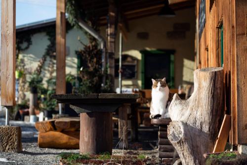 \ Kirnitzschtal allemagne