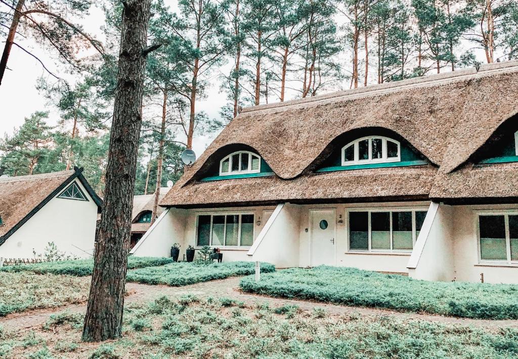 Appartement 100 Sekunden zum Strand: Schöne Wohnung auf Usedom 30 Zeltplatzstraße Wohnung 2, 17449 Karlshagen