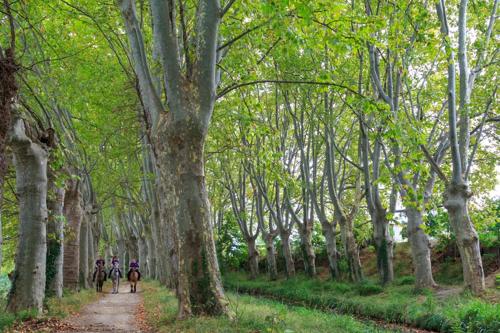 Chalets 16 chemin des ratequats ferme équestre 16 chemin des ratequats Mirepeisset