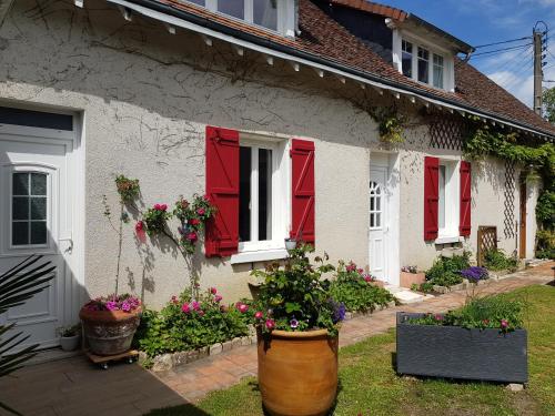 18 châteaux et Beauval sur un rayon de 30 km Saint-Georges-sur-Cher france