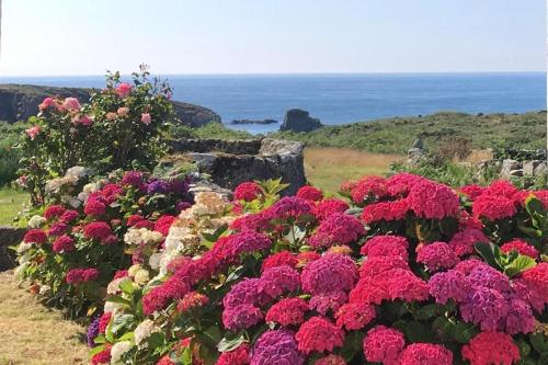 180 panoramic sea view, holiday home, Ouessant island Lampaul france