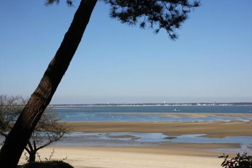 1er ligne pied dans l'eau plage option parking Arcachon france