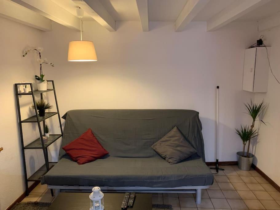 Appartement 2 Pièces 43 m² Hypercentre à 2 min marché de Noel 31 Rue du Vieux-Marché-aux-Vins, 67000 Strasbourg