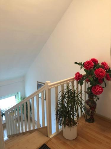 Séjour chez l'habitant 2 Privatzimmer , Dusche /WC nahe Köln Hauptstraße 92 Frechen