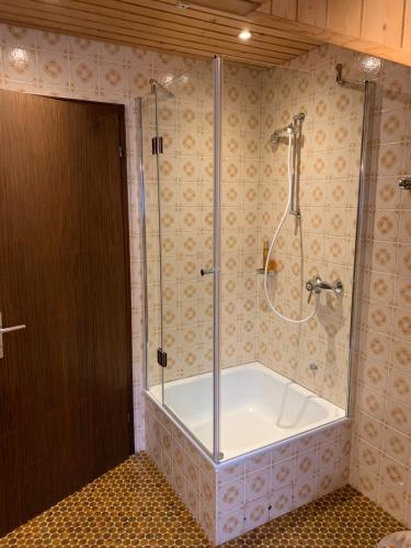 Appartement 2 Zimmer Wohnung am Süd-Schwarzwald Brenntenstraße 15 Murg