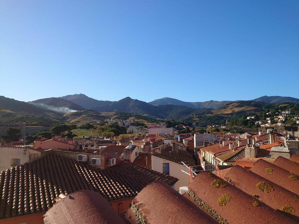 Appartement 2EGA25 - Adorable maison de ville avec terrasse cœur de Collioure 25, rue de l'Egalité, 66190 Collioure