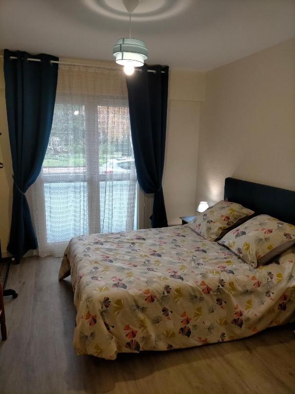 Maison d'hôtes 3 Belles Chambres d'Hôtes dans un appartement refait à neuf 50 Avenue Pierre Abelin, 86100 Châtellerault