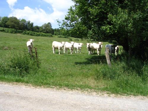 B&B / Chambre d'hôtes 4 Collines 3 Rue de Grandchamp Hagnicourt