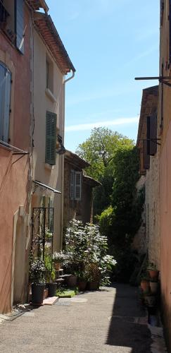 4 safraniers Sillans-la-Cascade france