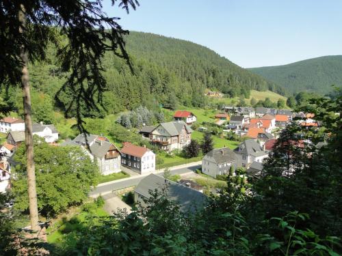 4 Sterne Ferienwohnung Sorbitztal Rohrbach allemagne