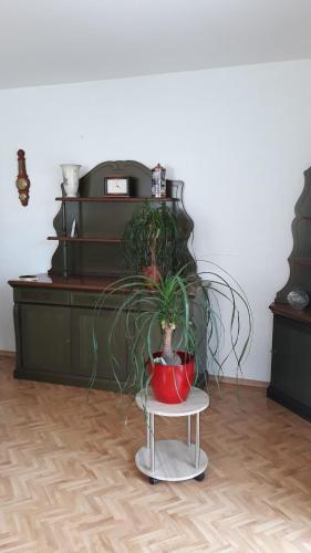 Appartement 5 Gartenstraße 5 Gartenstraße Angermünde
