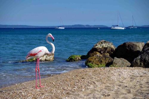 A 20 m de la plage villa moderne Frontignan france