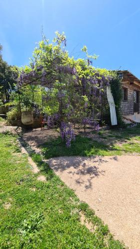 A Cantina Chalet avec Piscine proche d Ajaccio Carbuccia france