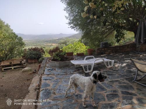 Maison de vacances A casa di Sognu San Gavino Figari