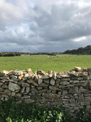 Maison de vacances A casetta di Cavallo morto chemin de campagro Bonifacio