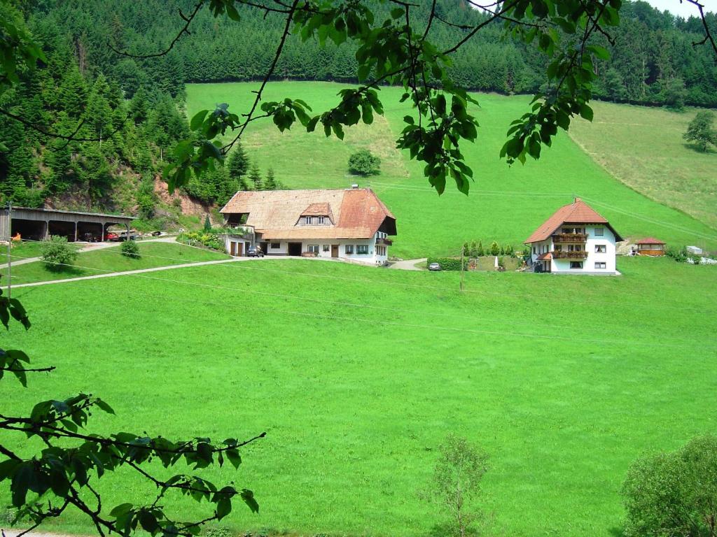 Appartement A four person holiday home in a delightful quiet area , 77716 Hofstetten