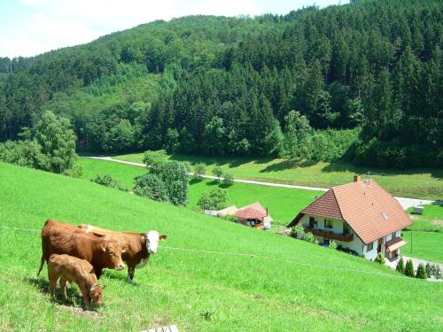 A four person holiday home in a delightful quiet area Hofstetten allemagne