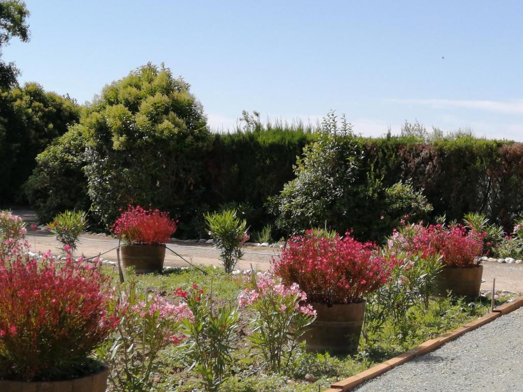 Maison d'hôtes A l'Orée Des Vignes ROUTE DE BEZIERS DOMAINE BONNE VIGNE, 34310 Montady