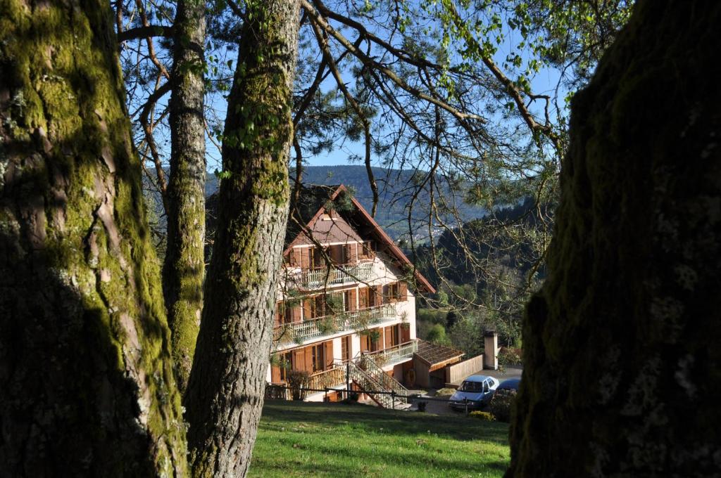 Maisons de vacances A l'Orée du Bois 797 Rue des Granges de Franould, 88200 Dommartin-lès-Remiremont