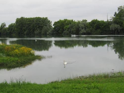 À la croisée des Gaves Hastingues france