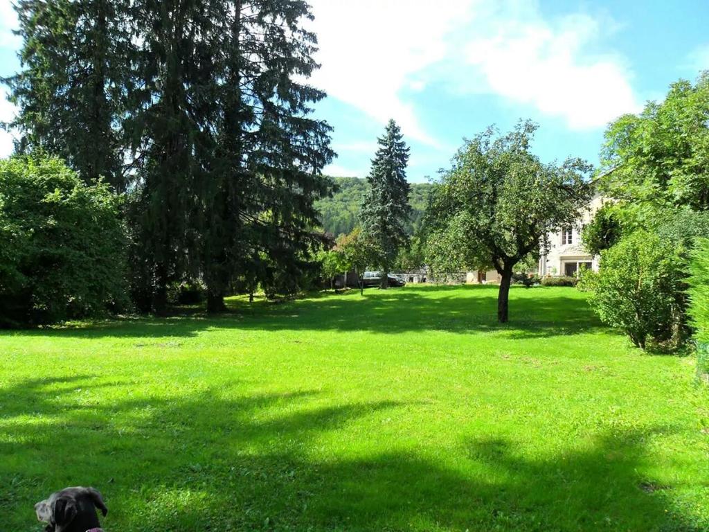 Maison d'hôtes A la Grenouille du Jura 10 Vieille Rue, 01100 Bellignat