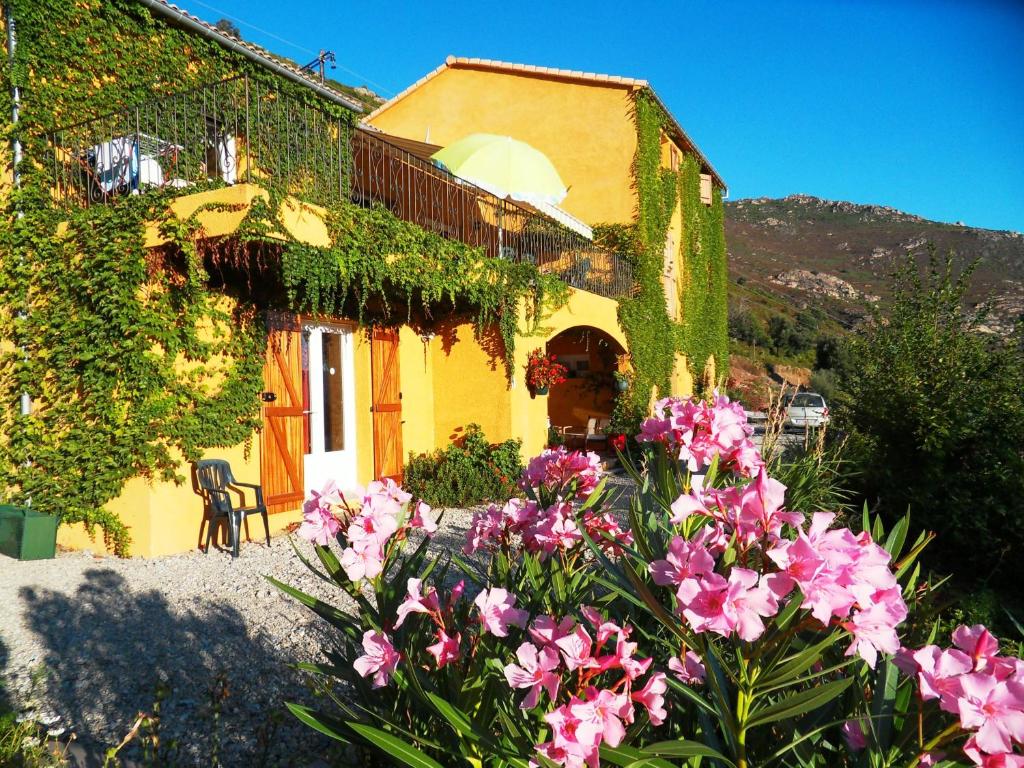 Maison d'hôtes A Pianella Lieu dit a Pianella, 20236 Castirla