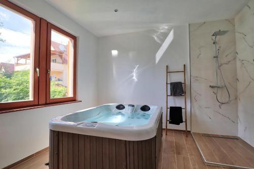 Appartement Ab gite et spa 6 Rue Loucheur Benfeld