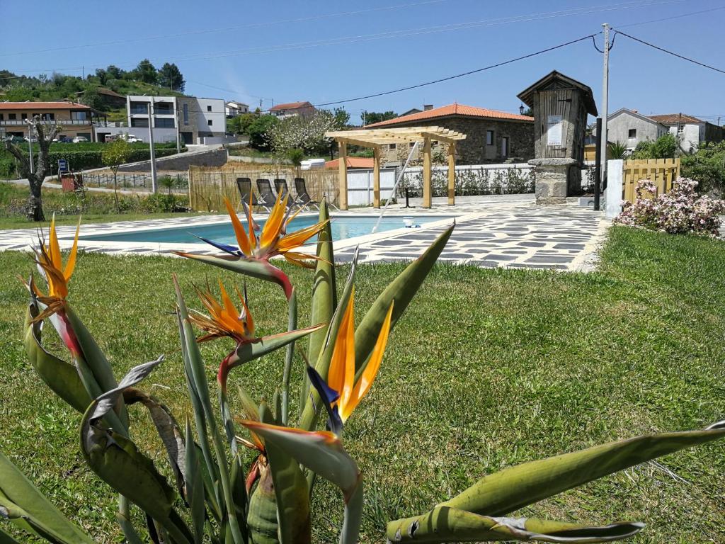 Maison d'hôtes Abrigo das Andorinhas Rua Lugar da Mó, Mó, Castelo de Paiva, 4550-675 Aveiro