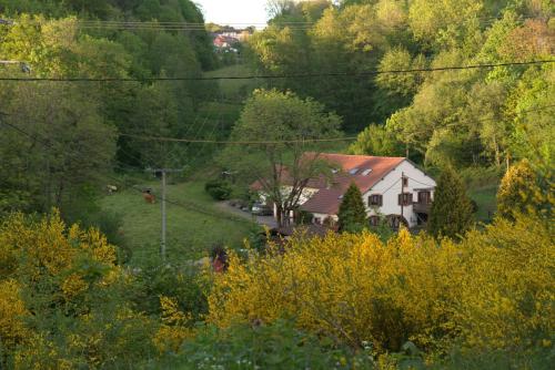 Acconat-Domaine du Moulin ( 8 Gîtes ) Ban-de-Sapt france