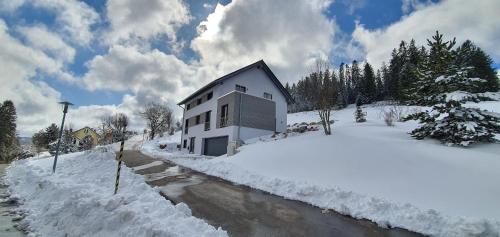 Appartement Adlernest 4 Zweiseenblickweg Feldberg