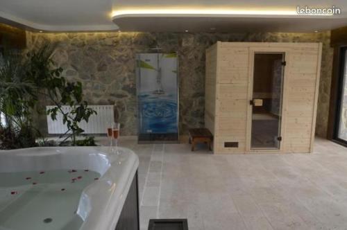 Adorable appartement avec piscine et SPA Durtal france