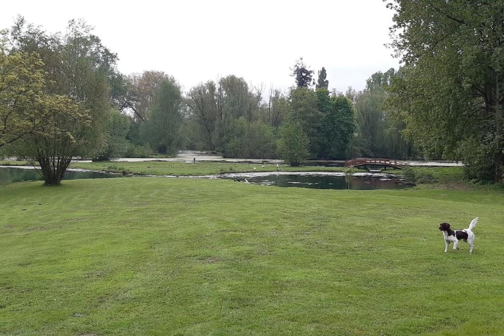 Maison de vacances Adorable maison d’hôtes bordée d’étangs au calme. lieu dit les sources de beauvoir, 80300 Grandcourt