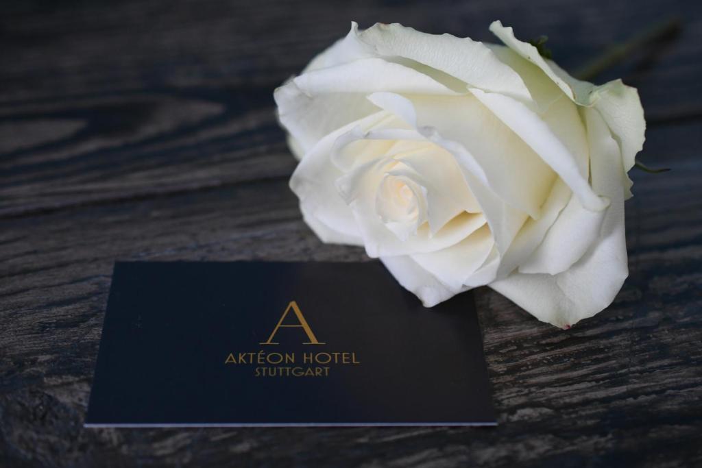 Hôtel Akteon Hotel 19 Birkheckenstraße, 70599 Stuttgart