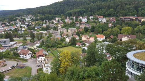 Appartements Alb-Rosa Weg zum Rotenbächle 10 Bad Herrenalb