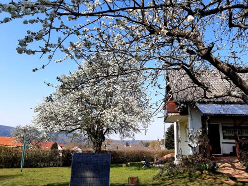 Albblick Bad Herrenalb allemagne