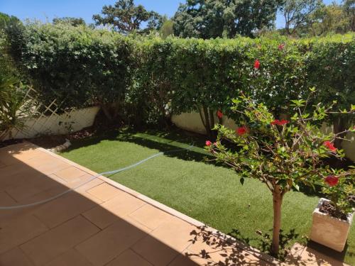 Appartement Albufeira Monte Balaia Estrada da Branqueira Urbanizacao Monte da Balaia Lot 9 Apart J Albufeira