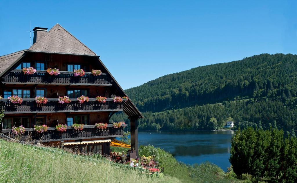 Hôtel Alemannenhof - Boutique Hotel am Titisee Bruderhalde 21, 79856 Titisee-Neustadt