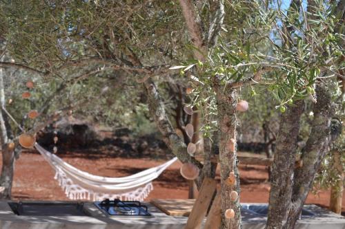 Camping Algarve Olive Tree Lodge Pocinho Nora