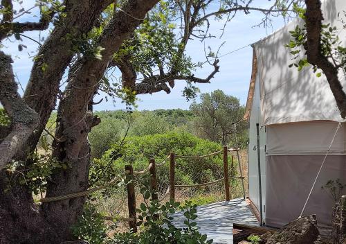 Tente de luxe AlgarveGlamping IC1 I.P. 1 Lanço Messines-Guia, Km4 São Bartolomeu de Messines