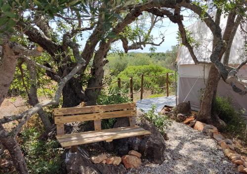 AlgarveGlamping São Bartolomeu de Messines portugal