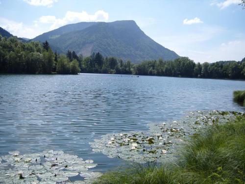 Allgäu Berge und Seen Immenstadt allemagne