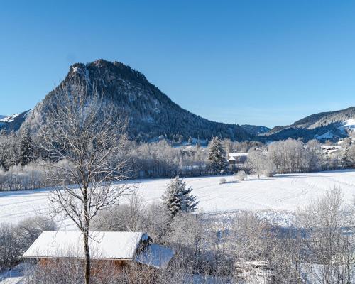 Allgäuer Panoramastube I Bergblick I Netflix Pfronten allemagne