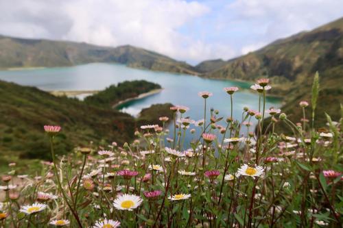 Appartement Alojamento House 66 São Miguel - Azores Ponta Delgada