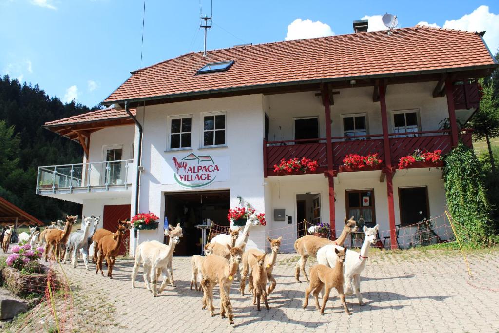 Appartement Alpaca-Village Hinterbach 7 Alpaca-Village, 78730 Lauterbach