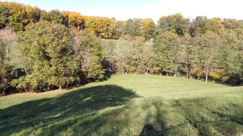 Alpagas de Barres Sénaillac-Latronquière france