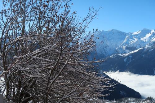 Alpe d'Huez Les Balcons de la Sagne 252-254 route d'Huez Appart 410 L\'Alpe-d\'Huez france