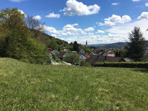 Alpenpanorama am Hochrhein Gailingen am Hochrhein allemagne