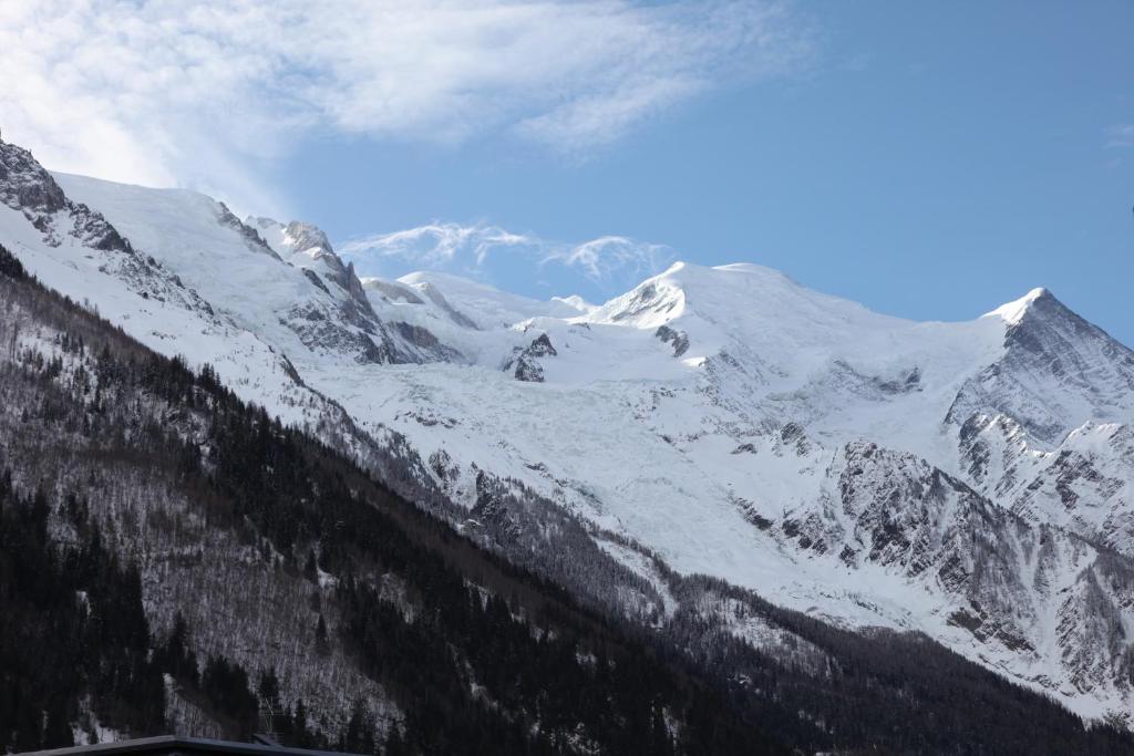 Appartement ALPINSTAR 192 Rue du Docteur Paccard, 74400 Chamonix-Mont-Blanc