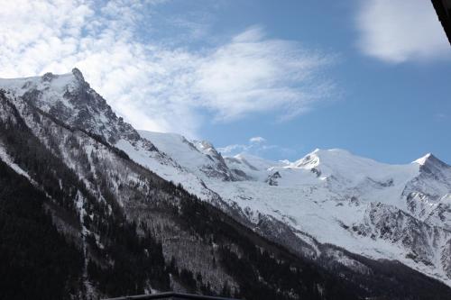 Appartement ALPINSTAR 192 Rue du Docteur Paccard Chamonix-Mont-Blanc